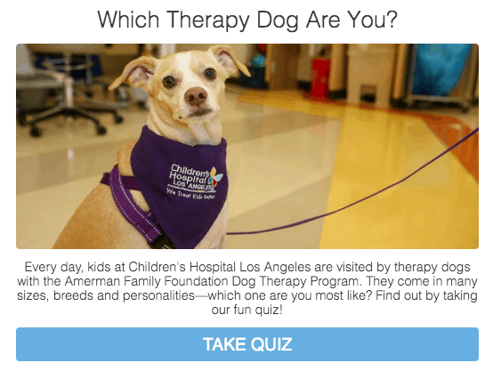 Which Therapy Dog are you? test